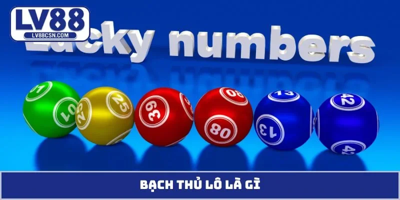 Bạch thủ lô là gì