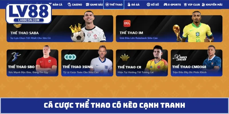 Cá cược thể thao có kèo cạnh tranh