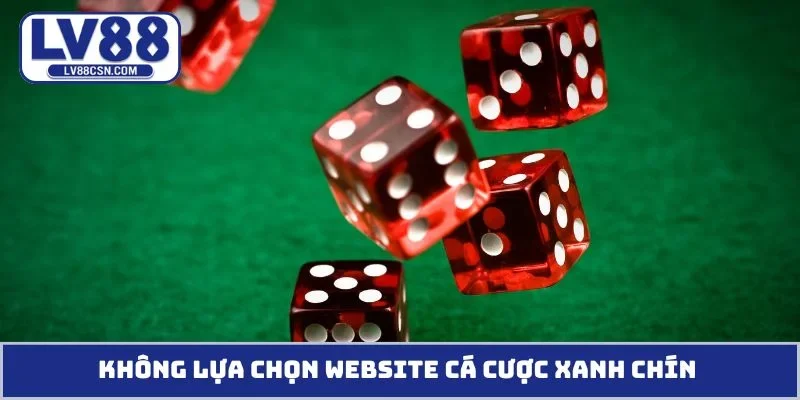Không lựa chọn website cá cược xanh chín