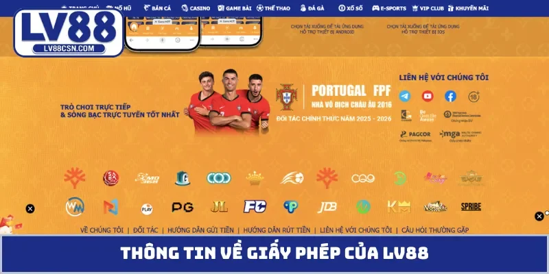Thông tin về giấy phép của LV88