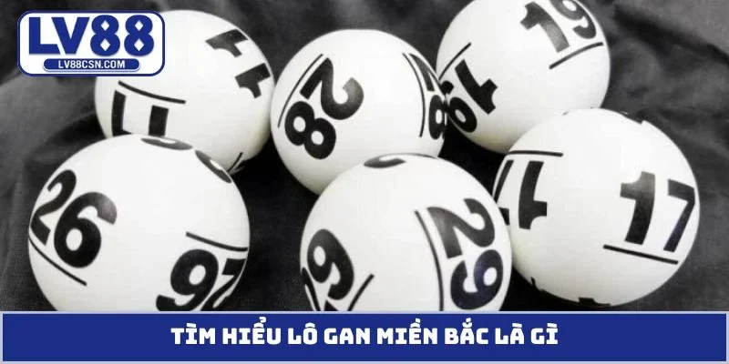 Tìm hiểu lô gan miền Bắc là gì?
